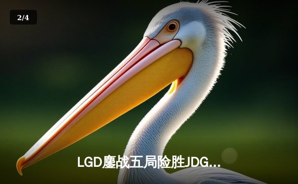 LGD鏖战五局险胜JDG，Xiaohu沙皇关键推助队挺进德杯四强 - 2